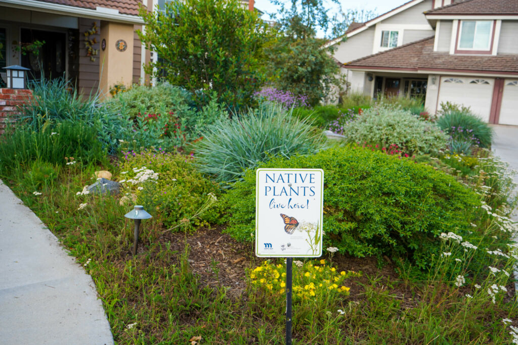 ABC 7 News OC Water District Brings California Native Landscapes To 