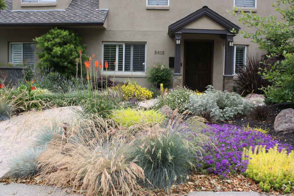 Beautify Your Home With These Drought Tolerant Backyard Landscaping Ideas