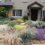 Beautify Your Home With These Drought Tolerant Backyard Landscaping Ideas