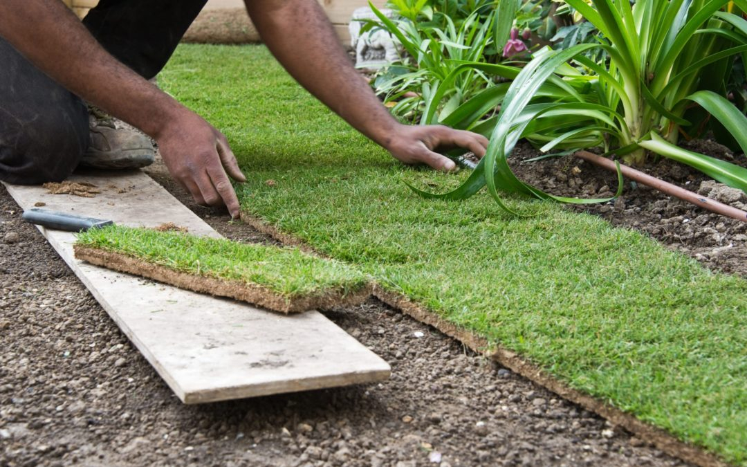 California Helps Homeowners Install Artificial Grass The Turf Removal 