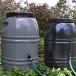 City Of Cranbrook Starts Rain Barrel Rebate Program Cranbrook Daily