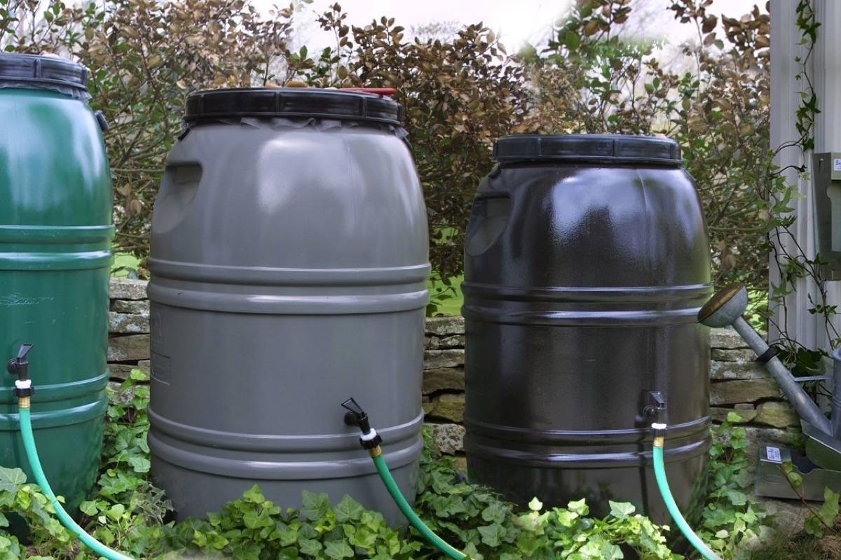 City Of Cranbrook Starts Rain Barrel Rebate Program Cranbrook Daily 