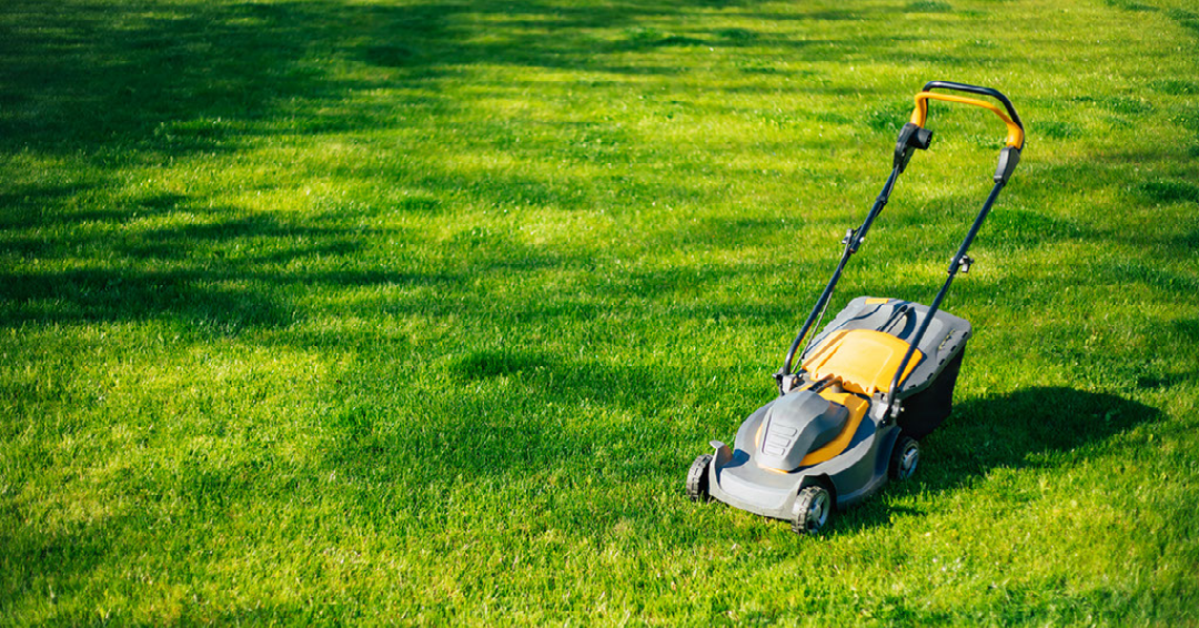 Electric Lawn Mower Rebate Riding Walk behind Or Robotic Dawson