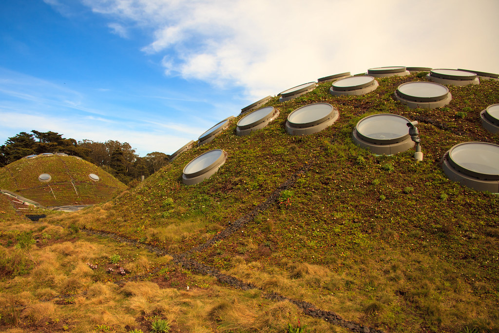 Green Roof 1 California Academy Of Sciences San Francis Flickr