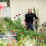 On A Block Full Of Lawns She Ditched Grass For A DIY Drought tolerant