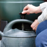 San Mateo County Rain Barrels And Rebate Program Everything South City