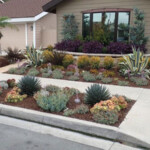 The Requirements Necessary For Drought Resistant Landscaping Decorifusta