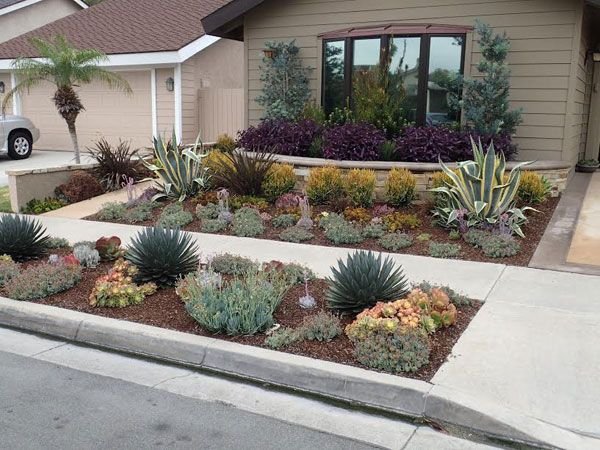 The Requirements Necessary For Drought Resistant Landscaping Decorifusta