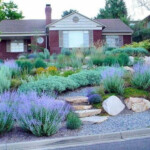 20 Xeriscape Front Yard Ideas