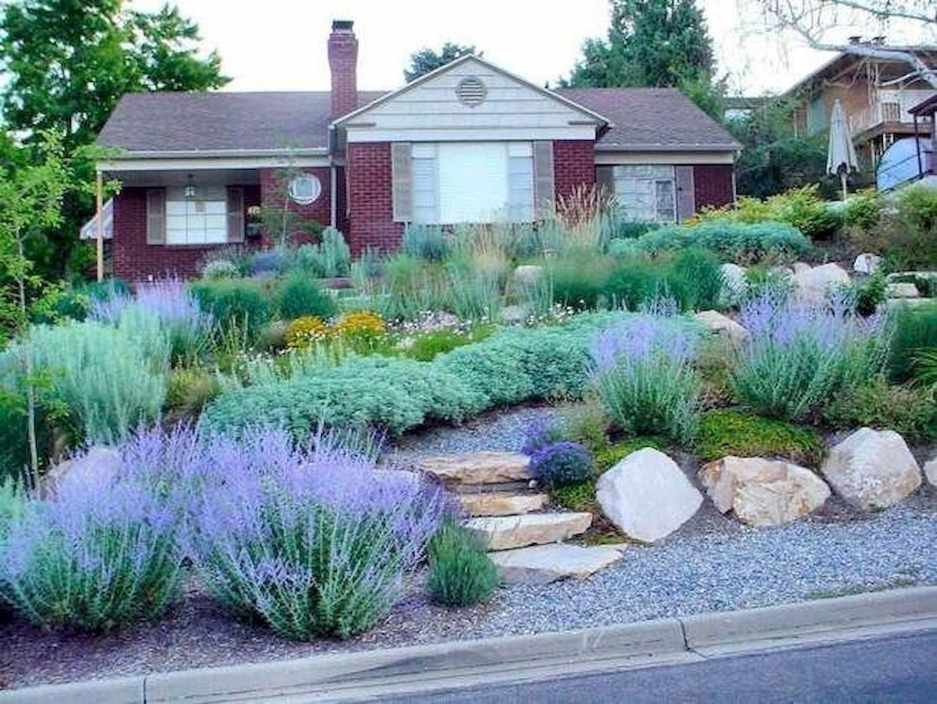 20 Xeriscape Front Yard Ideas