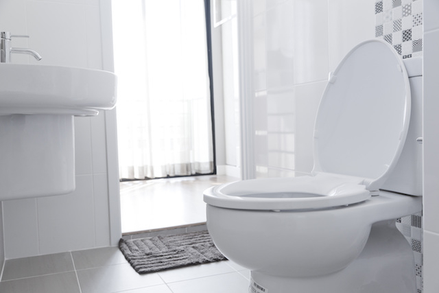 7 Benefits Of Using Low Flow Toilets In Your Bathroom My Green Home Blog