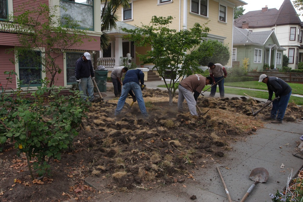 Artificial Grass Turf Rebates Install It Direct