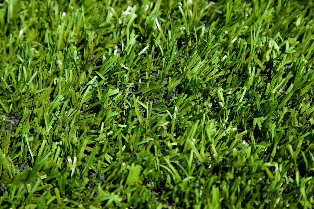 Artificial Turf Northern California Recreation