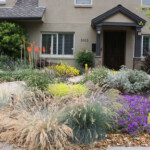 California Drought Resistant Landscaping Rebate Californiarebates