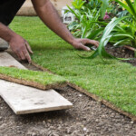 California Helps Homeowners Install Artificial Grass The Turf Removal