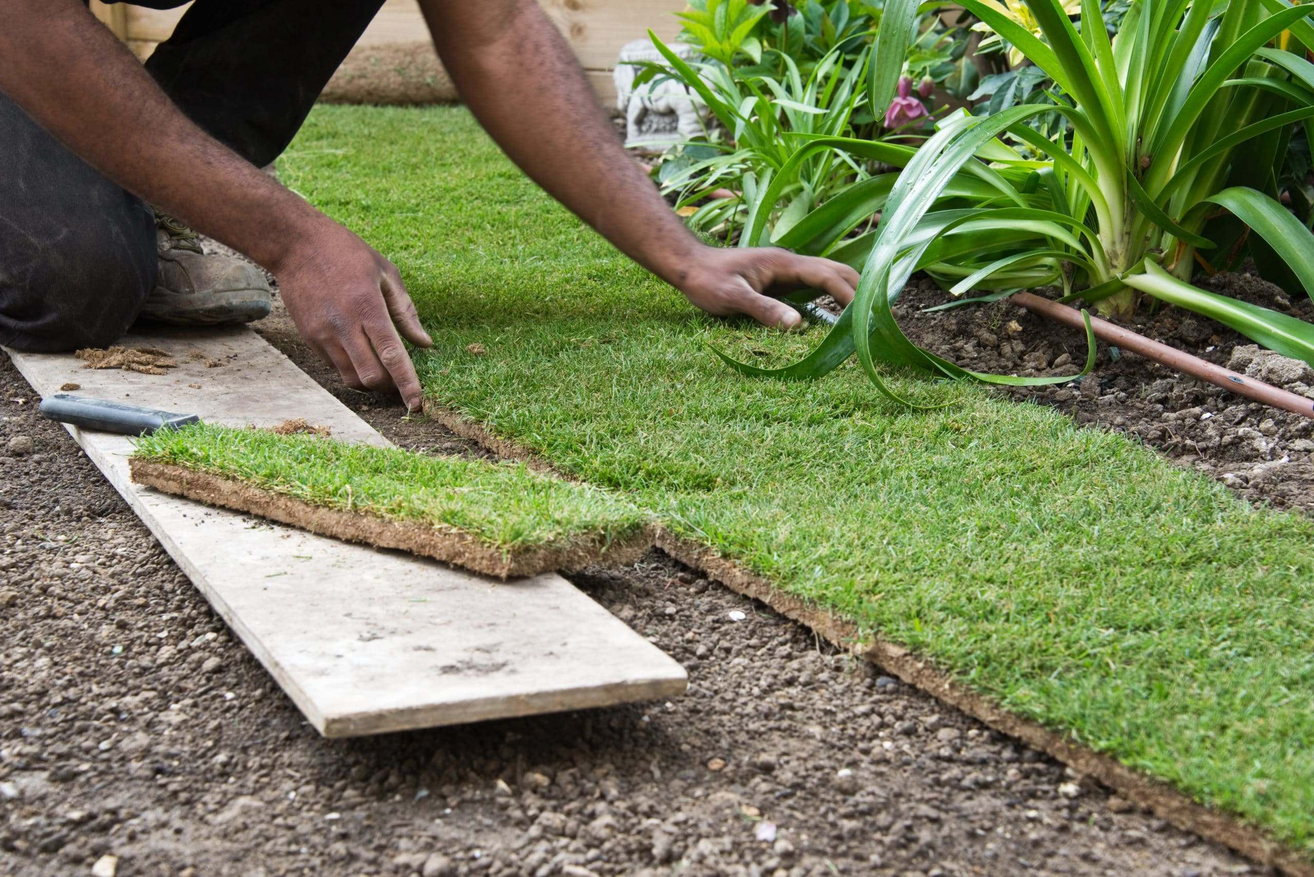 California Helps Homeowners Install Artificial Grass The Turf Removal 