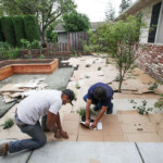 Drought wary Lawn Owners Line Up For Money To Rip Out Their Grass