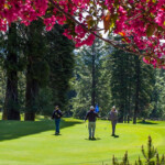 Golf Courses In Northern California Plumas County California