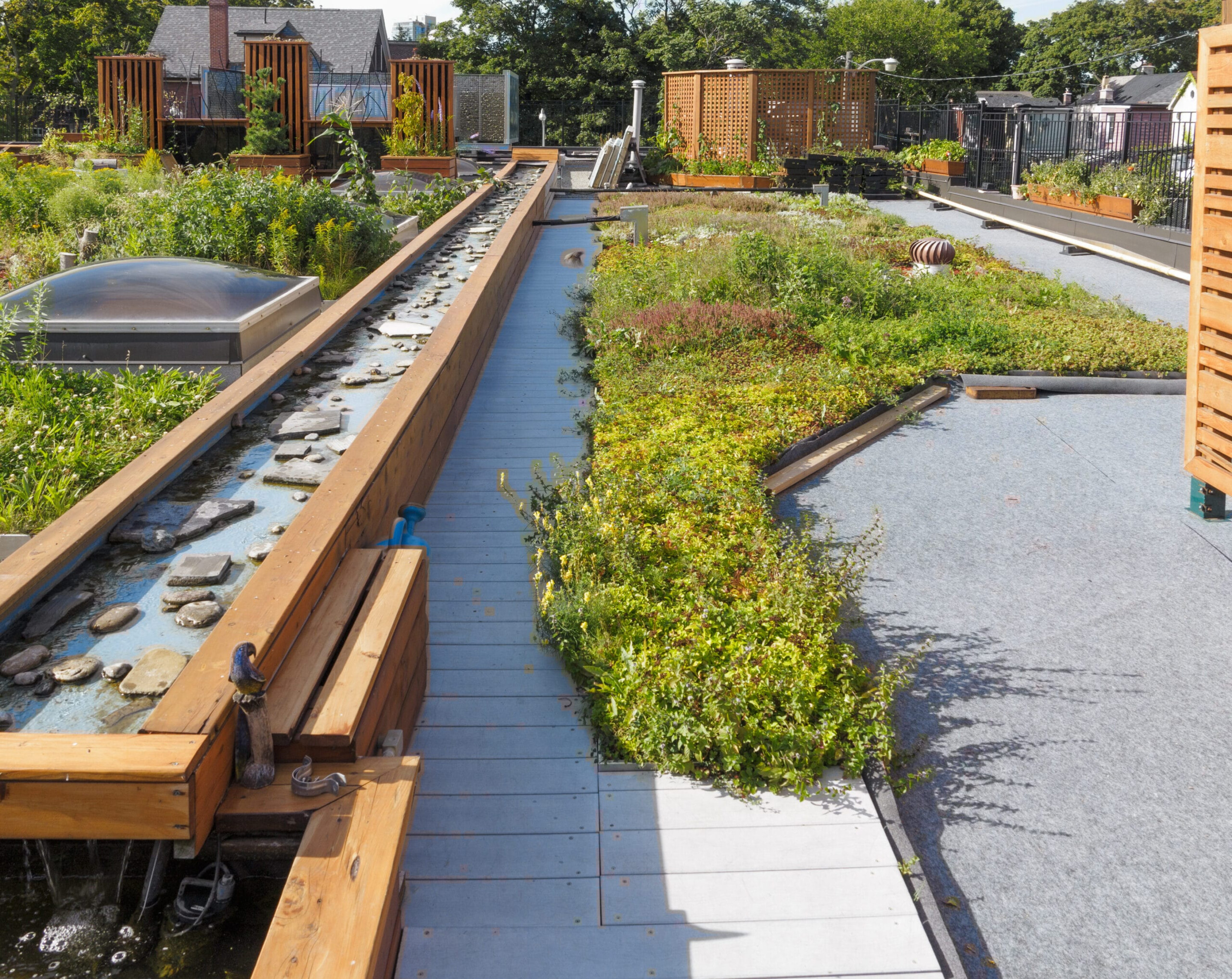 Green Roof Rebates Rainplan A Stormwater Nature Based Solutions