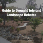 Guide To Drought Tolerant Landscape Rebates Chico Landscapes