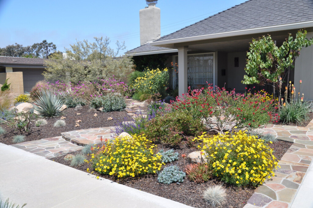 GW21 Korina Drought Tolerant Garden Drought Tolerant Landscape 