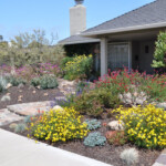 GW21 Korina Drought Tolerant Garden Drought Tolerant Landscape