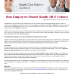 How Employers Should Handle MLR Rebates