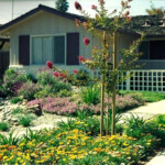 Image Result For Low Maintenance Front Yards California Front Yard