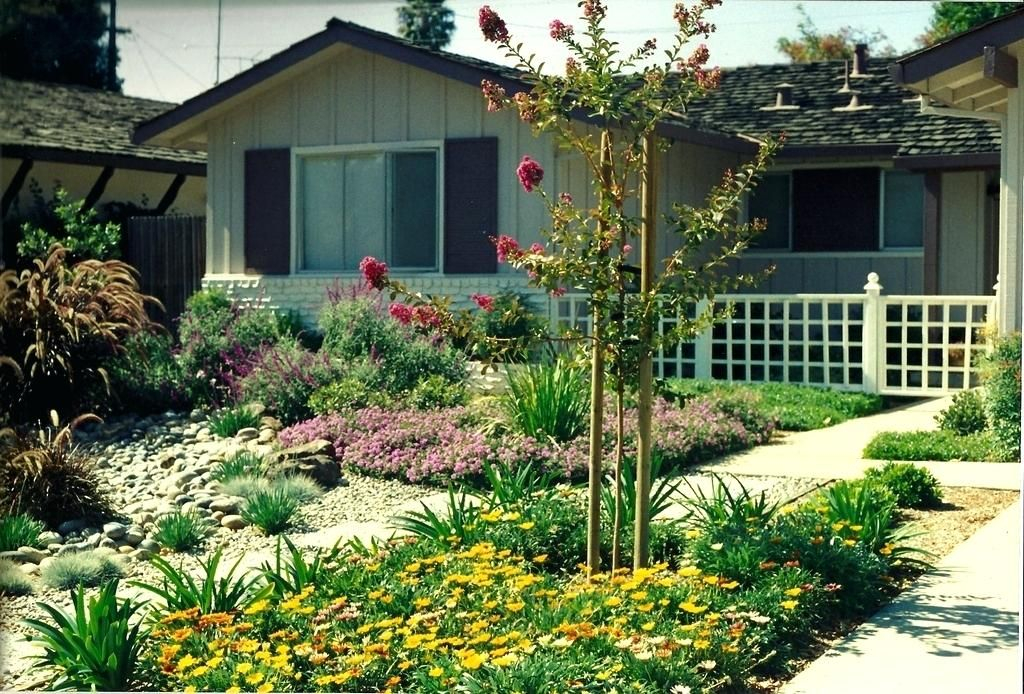 Image Result For Low Maintenance Front Yards California Front Yard 