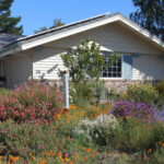 Lawn Conversion Rebate East Bay Municipal Utility District