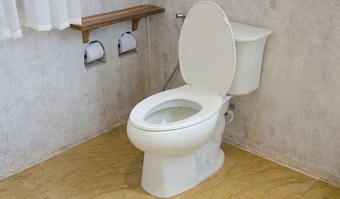 Low Flow Vs Regular Toilets Which One Should You Pick 