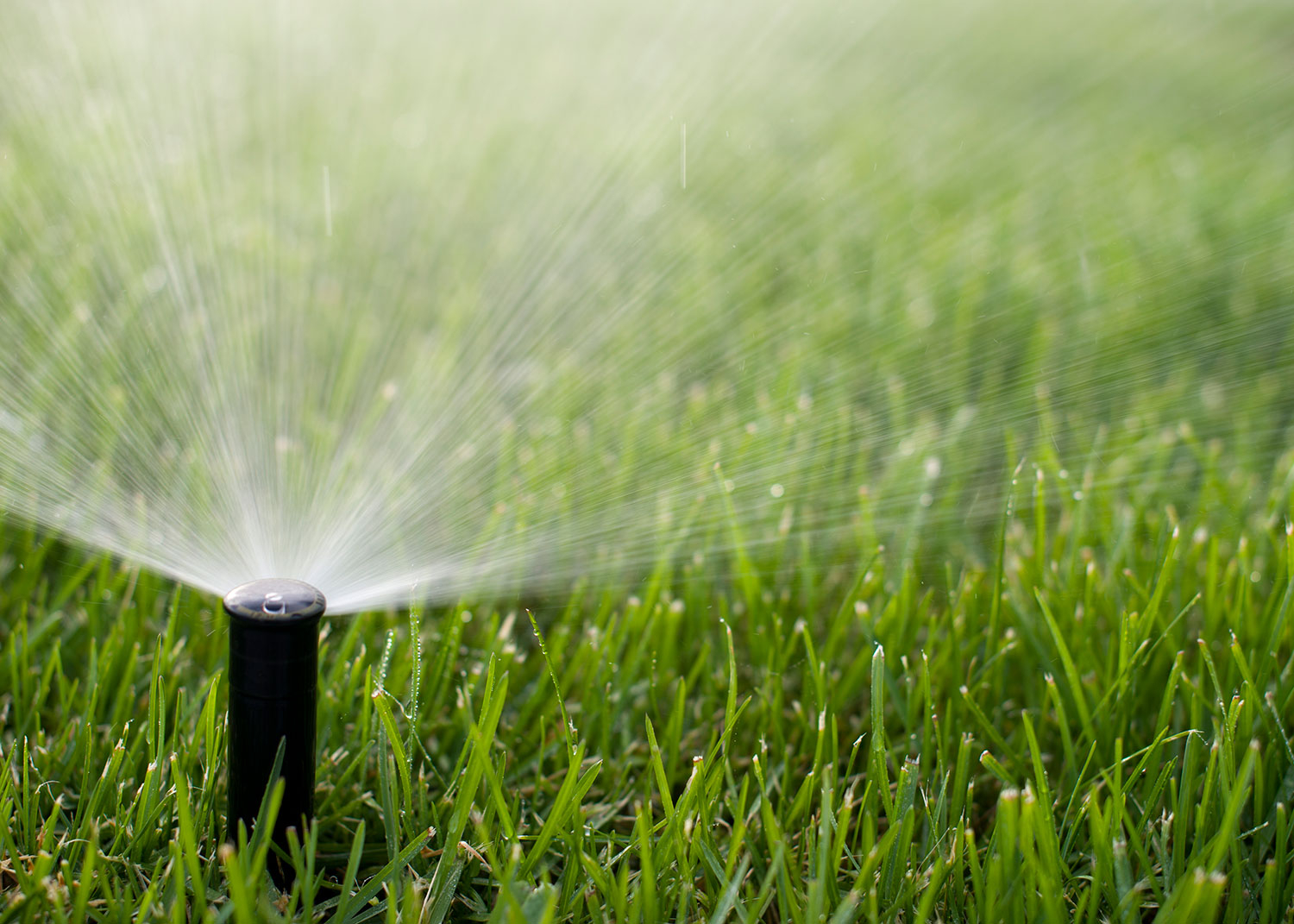 New Sprinkler Standards Will Save Water And Energy For California