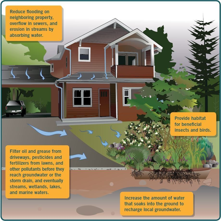 Soak It Up Rebate Program City Of Shoreline In 2021 Rain Garden 