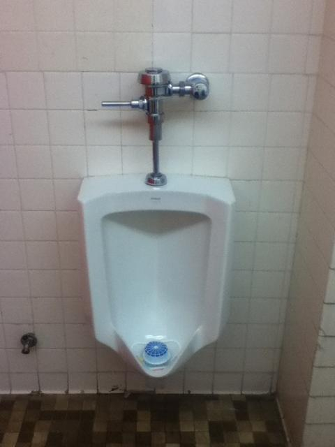 The Urinals Of California s Great America