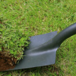 West Basin Adds Another Dollar To Lawn Removal Rebate Culver City