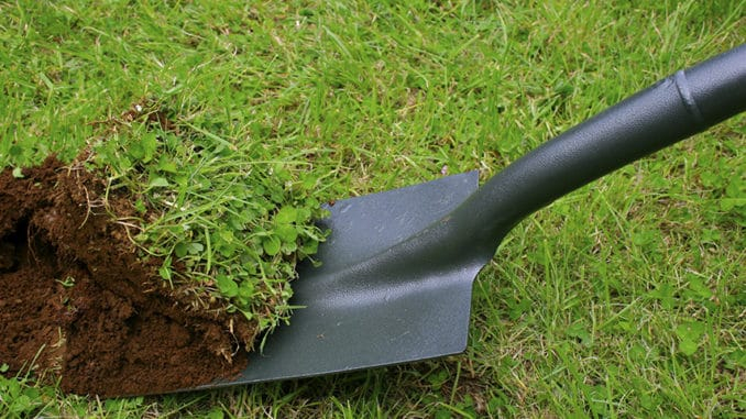 West Basin Adds Another Dollar To Lawn Removal Rebate Culver City