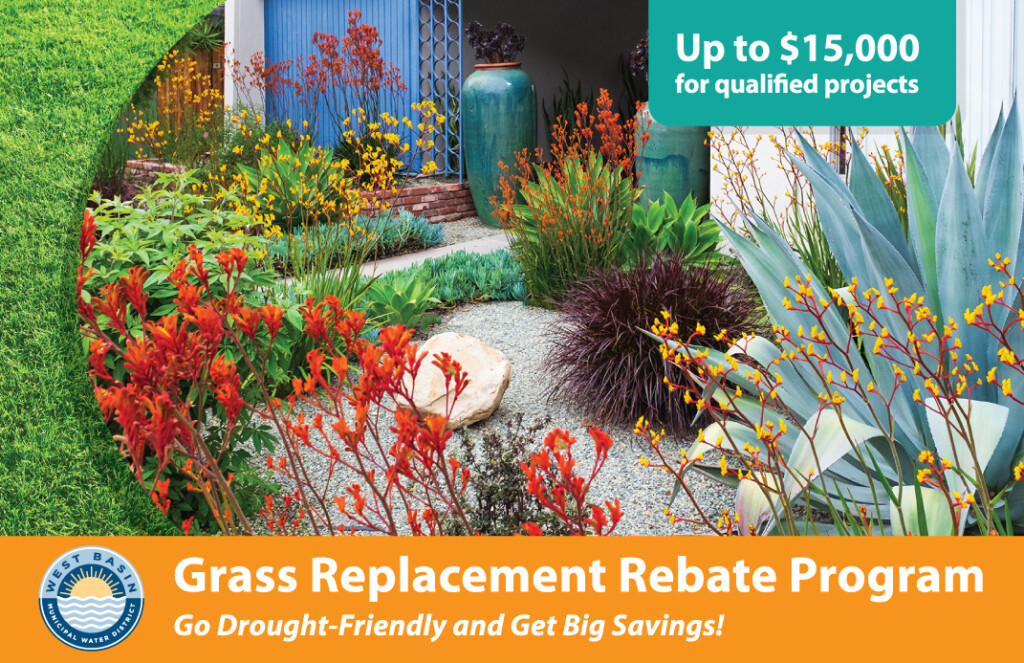 West Basin Grass Replacement Rebate Program Go Drought Friendly And 