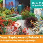 West Basin Grass Replacement Rebate Program Go Drought Friendly And